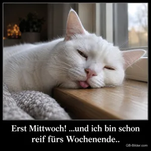 Weiße Katze liegt müde mit Zunge auf einer Fensterbank, Text: Erst Mittwoch! …und ich bin schon reif fürs Wochenende..