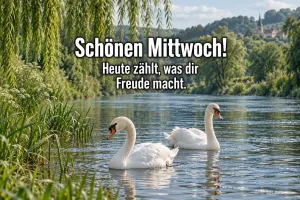Zwei Schwäne auf einem Fluss unter Trauerweiden, Text: Schönen Mittwoch! Heute zählt, was dir Freude macht.