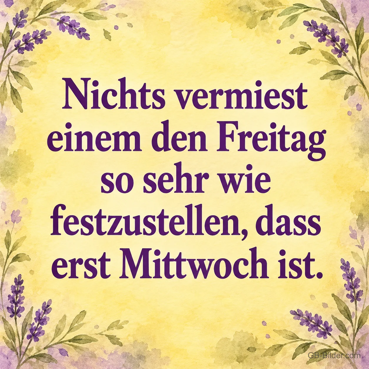 Lila Schrift auf gelbem Grund mit Lavendel, Text: Nichts vermiest einem den Freitag so sehr wie festzustellen, dass erst Mittwoch ist. Lila Schrift auf gelbem Grund mit Lavendel, Text: Nichts vermiest einem den Freitag so sehr wie festzustellen, dass erst Mittwoch ist.