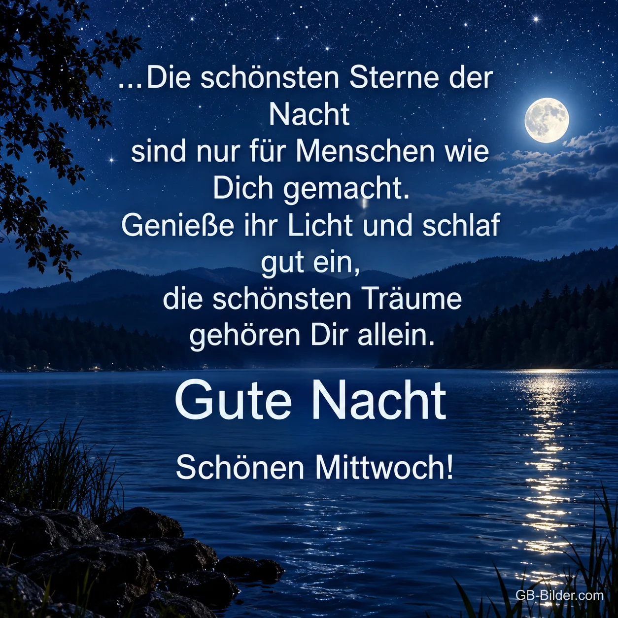 Vollmond spiegelt sich in einem nächtlichen See, Text: …Die schönsten Sterne der Nacht sind nur für Menschen wie Dich gemacht. Genieße ihr Licht und schlaf gut ein, die schönsten Träume gehören Dir allein. Gute Nacht – Schönen Mittwoch!