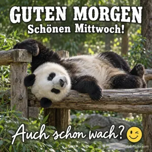 Panda auf dem Holzbalken, Text: GUTEN MORGEN