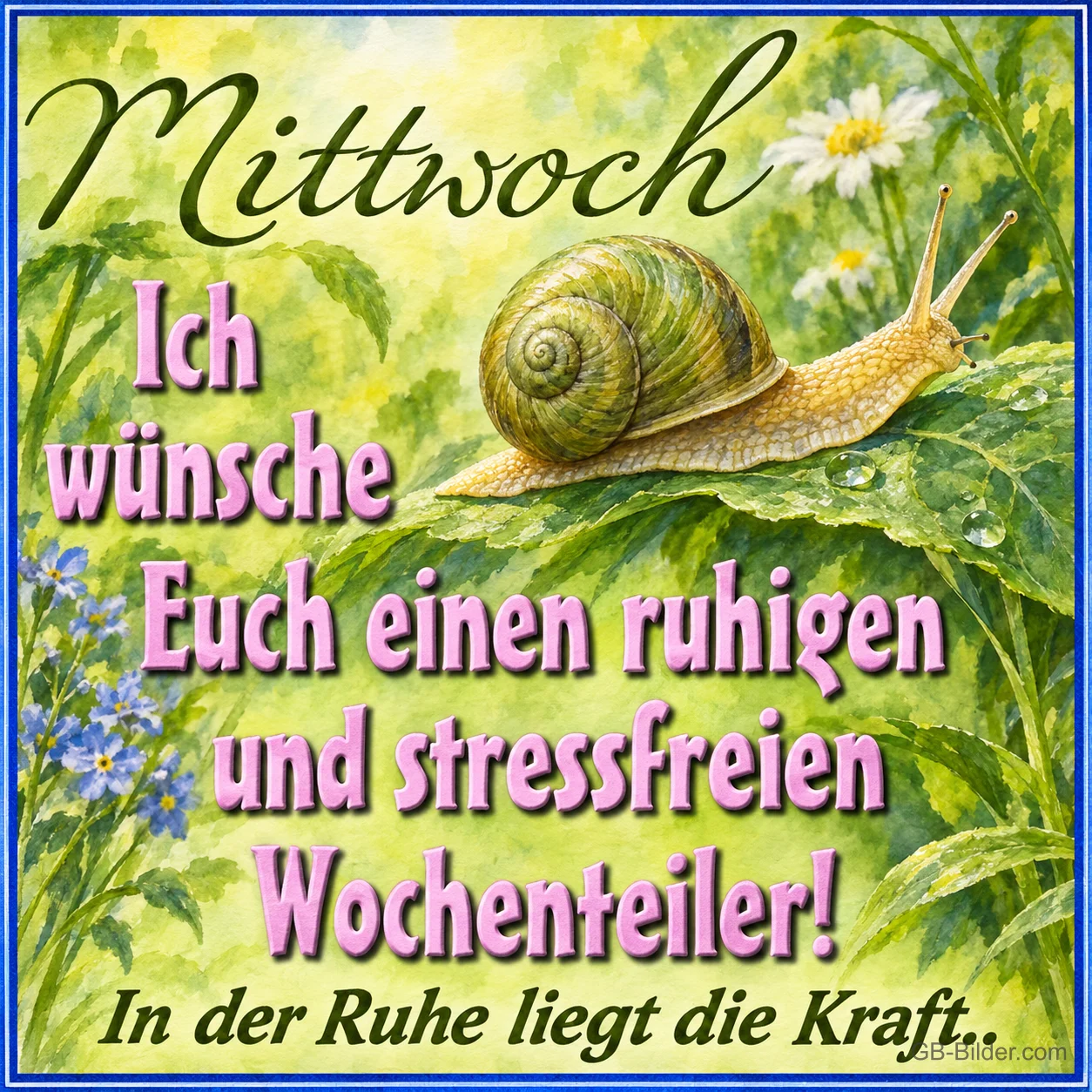 Weinbergschnecke auf einem Blatt, Text: Mittwoch
