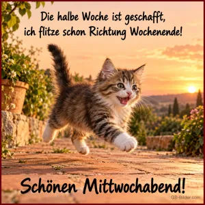 Getigertes Kätzchen rennt über eine Terrasse im Sonnenuntergang, Text: Die halbe Woche ist geschafft, – ich flitze schon Richtung Wochenende! Schönen Mittwochabend!