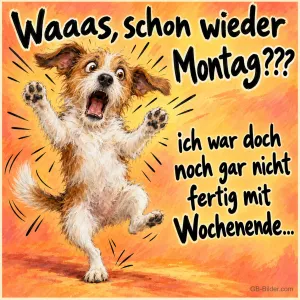Erschrockener Terrier springt mit offenem Maul in die Luft, Text: Waaas, schon wieder Montag??? ich war doch noch gar nicht fertig mit Wochenende...