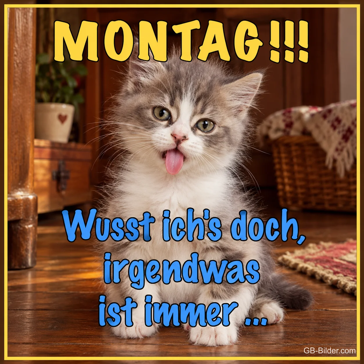 Kätzchen mit Zunge, lustiger Text, Text: MONTAG