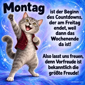 Graue Katze mit Weste reckt jubelnd die Pfote, Text: Montag ist der Beginn des Countdowns, der am Freitag endet, weil dann das Wochenende da ist! Also lasst uns freuen, denn Vorfreude ist bekanntlich die größte Freude!