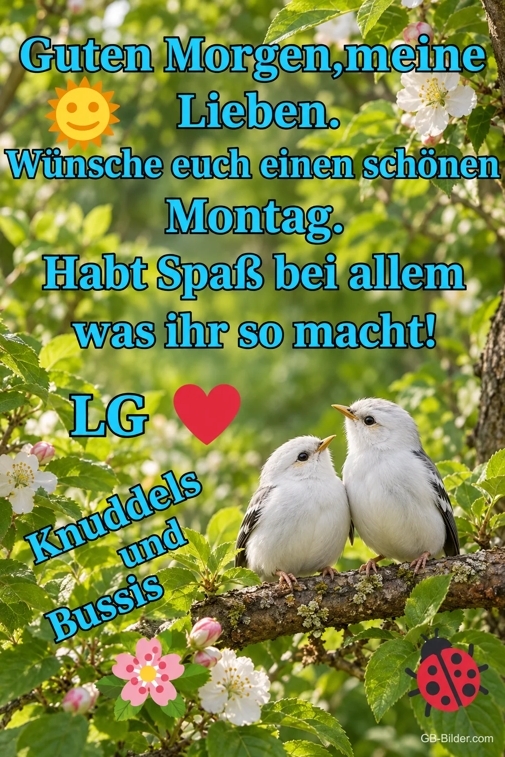 Zwei weiße Vögel, Text: Guten Morgen, meine Lieben