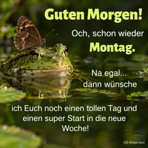Frosch im Teich mit einem Schmetterling auf dem Kopf, Text: Guten Morgen! Och, schon wieder Montag. Na egal… dann wünsche ich Euch noch einen tollen Tag und einen super Start in die neue Woche!