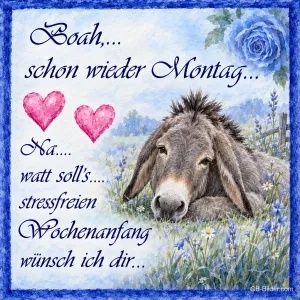 Esel liegt müde auf einer Blumenwiese neben rosa Herzen, Text: Boah,… schon wieder Montag… Na…. watt soll’s…. stressfreien Wochenanfang wünsch ich dir…