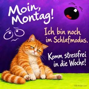 Verschlafene rote Katze sitzt mürrisch auf grünem Boden, lila Hintergrund, Text: Moin, Montag! Ich bin noch im Schlafmodus. Komm stressfrei in die Woche!
