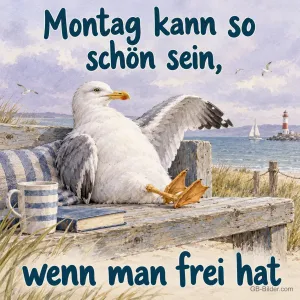 Entspannte Möwe am Meer, Text: Montag kann so schön sein, wenn man frei hat