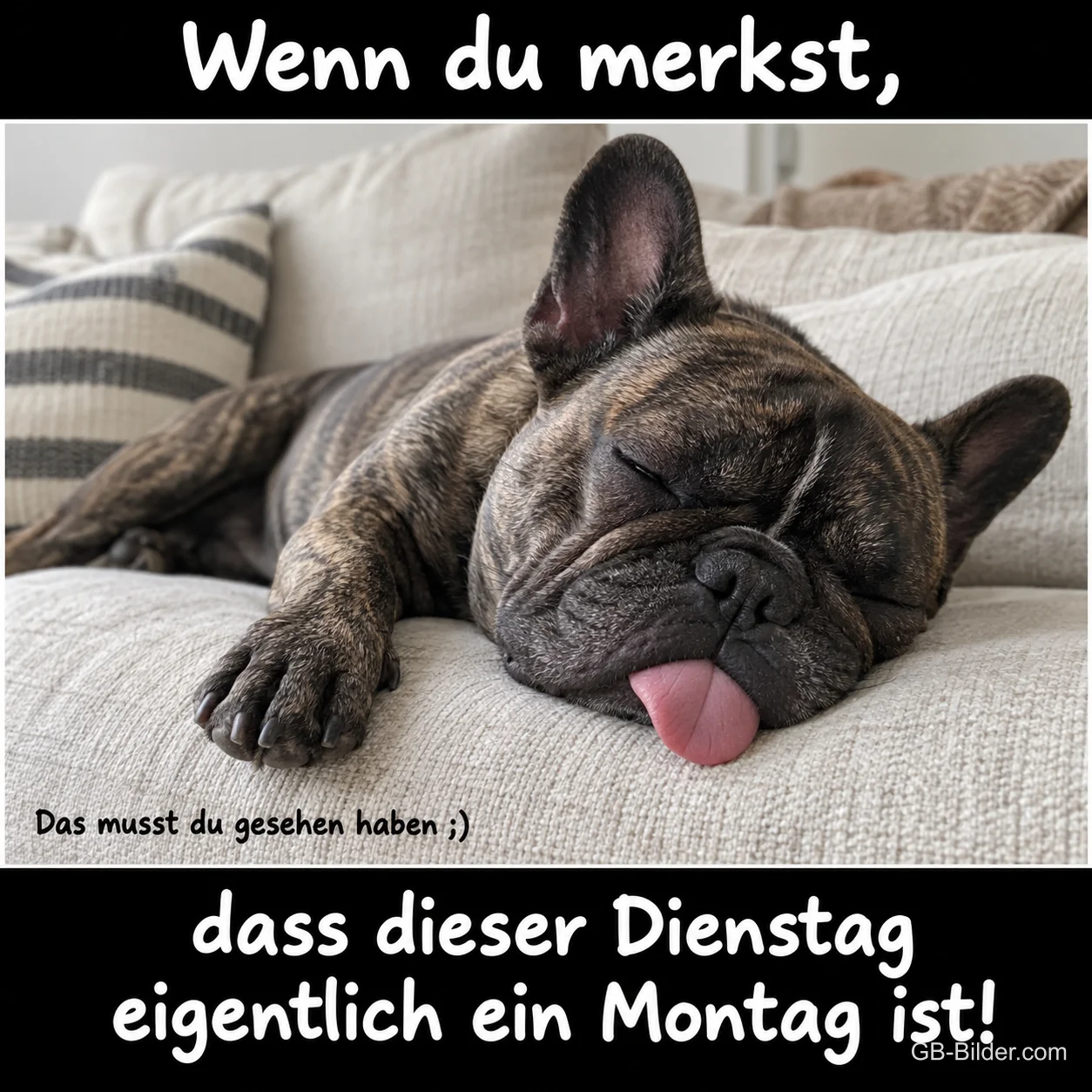 Französische Bulldogge schläft mit Zunge auf dem Sofa, Text: Wenn du merkst, dass dieser Dienstag eigentlich ein Montag ist! Das musst du gesehen haben ;)