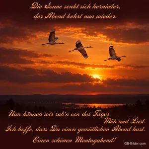 Kraniche im Abendrot, Abendgedicht, Text: Die Sonne senkt sich hernieder, der Abend kehrt nun wieder