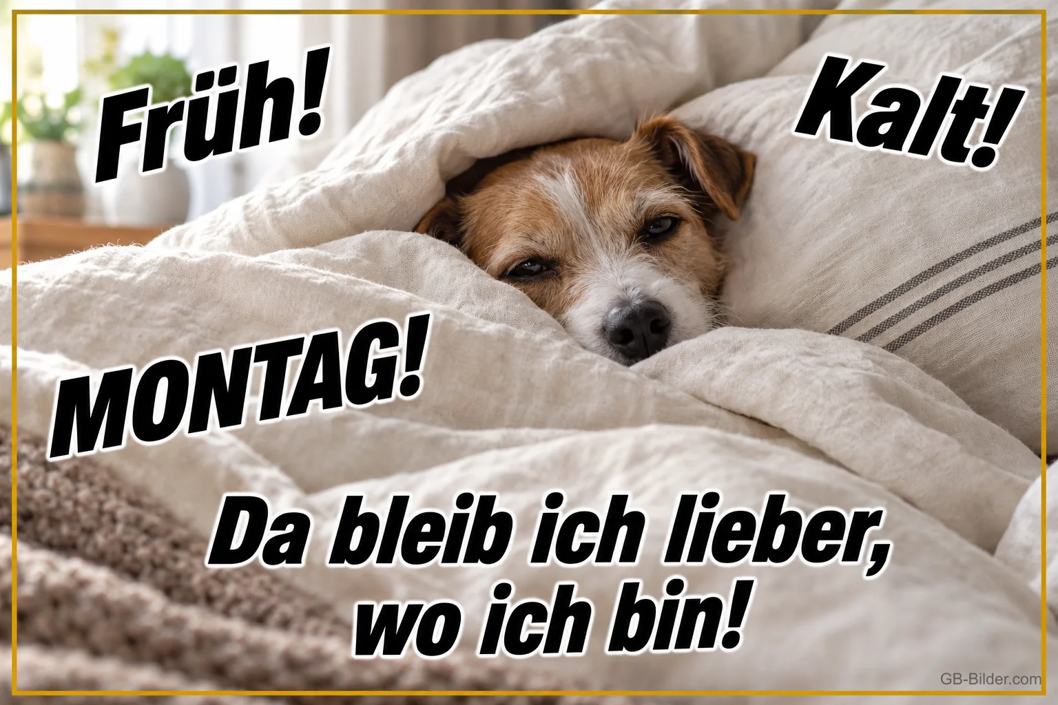 Jack Russell unter der Bettdecke, Text: Früh! Kalt! Montag! Da bleib ich lieber, wo ich bin!