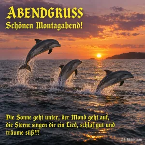 Springende Delfine, Text: ABENDGRUSS