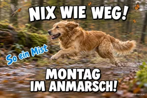 Rennender Hund, lustiger Spruch, Text: NIX WIE WEG