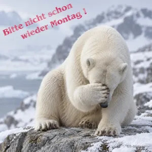 Eisbär mit Pfote vor den Augen, Text: Bitte nicht schon wieder Montag