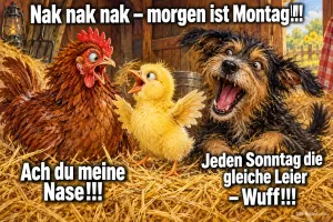 Huhn, Küken und Hund im Stroh mit aufgerissenen Mündern, Text: Nak nak nak – morgen ist Montag!!! Ach du meine Nase!!! Jeden Sonntag die gleiche Leier – Wuff!!!
