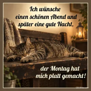 Erschöpfte Katze auf der Bank, Text: Ich wünsche einen schönen Abend und später eine gute Nacht, der Montag