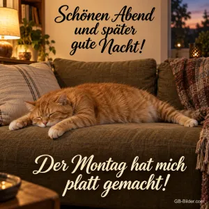Rote Katze liegt platt ausgestreckt auf dem Sofa, Text: Schönen Abend und später gute Nacht! Der Montag hat mich platt gemacht!