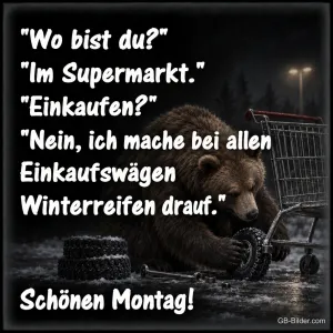 Brauner Bär montiert nachts Reifen an einen Einkaufswagen, Text: "Wo bist du?" "Im Supermarkt." "Einkaufen?" "Nein, ich mache bei allen Einkaufswägen Winterreifen drauf." Schönen Montag!