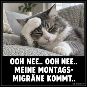 Graue Katze hält sich die Pfote an den Kopf auf dem Sofa, Text: OOH NEE.. OOH NEE.. MEINE MONTAGS-MIGRÄNE KOMMT..