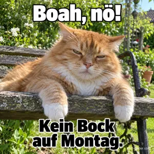 Mürrische rote Katze liegt auf einer Gartenbank, Text: Boah, nö! Kein Bock auf Montag.