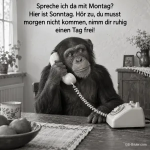 Schimpanse telefoniert mit einem alten Telefon am Küchentisch, Text: Spreche ich da mit Montag? Hier ist Sonntag. Hör zu, du musst morgen nicht kommen, nimm dir ruhig einen Tag frei!