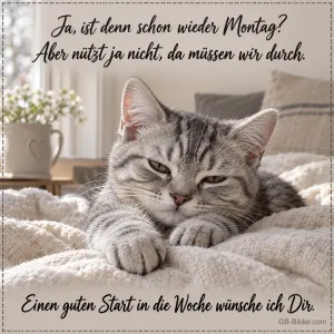 Getigertes Kätzchen liegt müde auf einer Decke, Text: Ja, ist denn schon wieder Montag? Aber nützt ja nicht, da müssen wir durch. Einen guten Start in die Woche wünsche ich Dir.