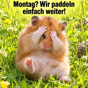 Hamster hält sich verzweifelt die Pfoten vor die Augen im Gras, Text: Montag? Wir paddeln einfach weiter!