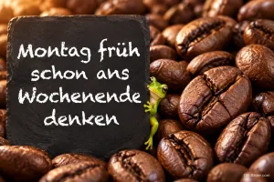Kleiner Frosch klettert an einer Tafel zwischen Kaffeebohnen, Text: Montag früh schon ans Wochenende denken