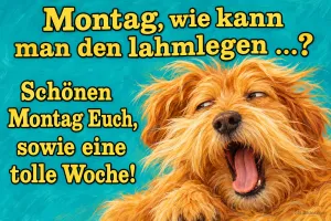 Zotteliger roter Hund gähnt herzhaft vor türkisem Hintergrund, Text: Montag, wie kann man den lahmlegen …? Schönen Montag Euch, sowie eine tolle Woche!