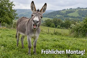 Esel lacht auf einer grünen Weide, Text: Fröhlichen Montag!