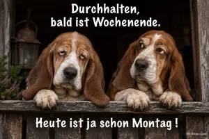 Zwei müde Bassets am Holzgeländer, Text: Durchhalten, bald ist Wochenende. Heute ist ja schon Montag!