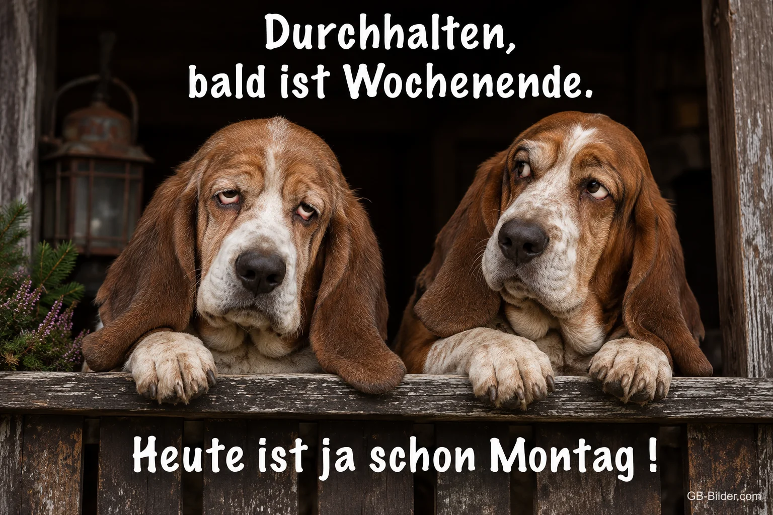 Zwei müde Bassets am Holzgeländer, Text: Durchhalten, bald ist Wochenende. Heute ist ja schon Montag!