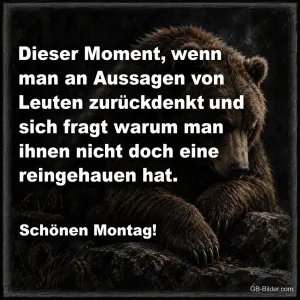 Grimmiger Braunbär im dunklen Wald, lustiger Montagsspruch