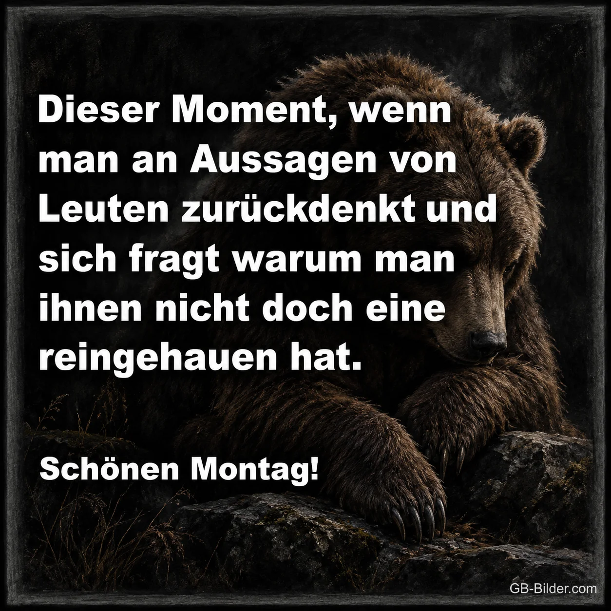 Grimmiger Braunbär im dunklen Wald, lustiger Montagsspruch
