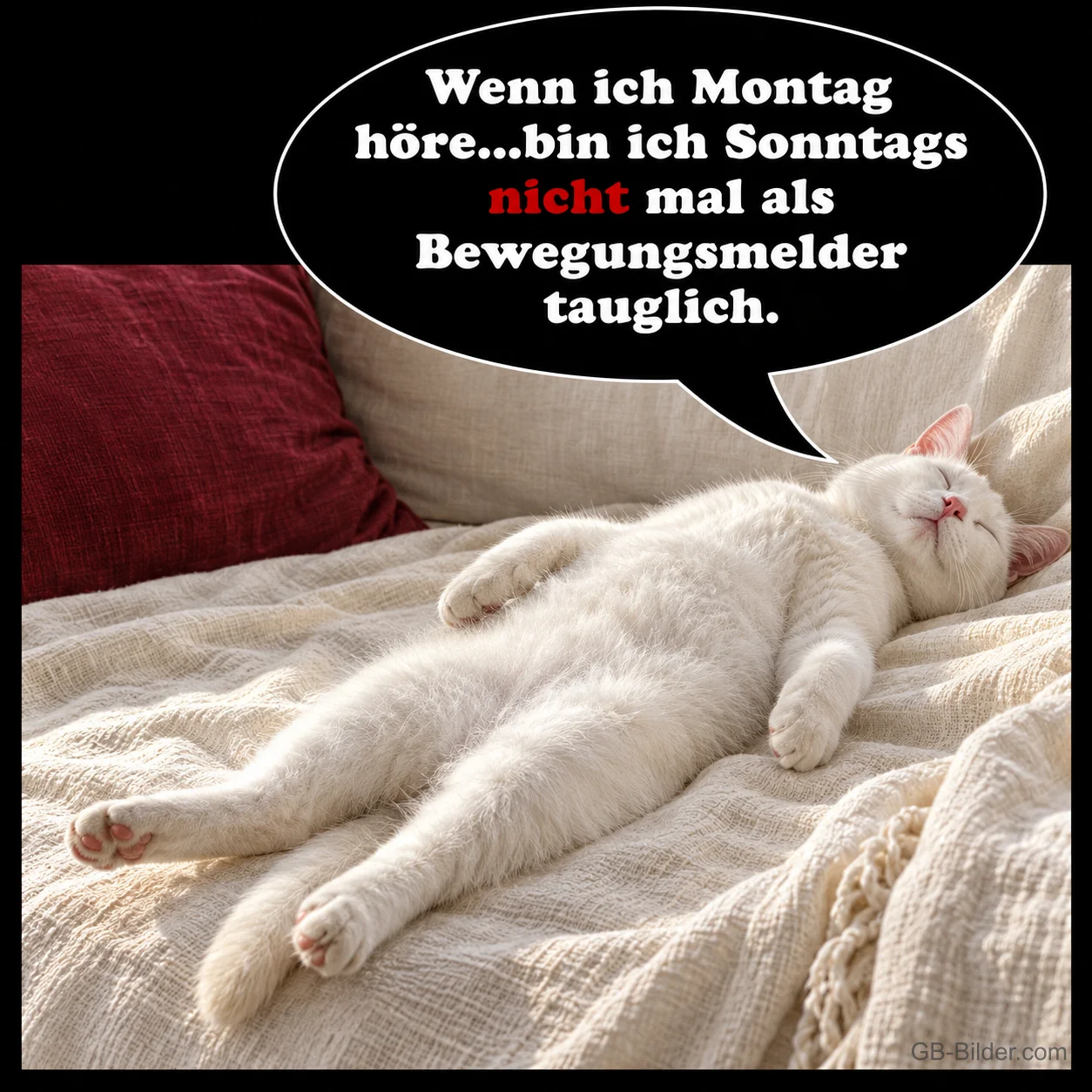 Ausgestreckte weiße Katze auf dem Bett, lustiger Spruch: Wenn ich Montag höre, bin ich nicht mal als Bewegungsmelder tauglich.