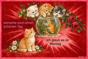 Kätzchen am Goldfischglas, Text: wünsche euch einen schönen Tag – ich glaub es ist Montag