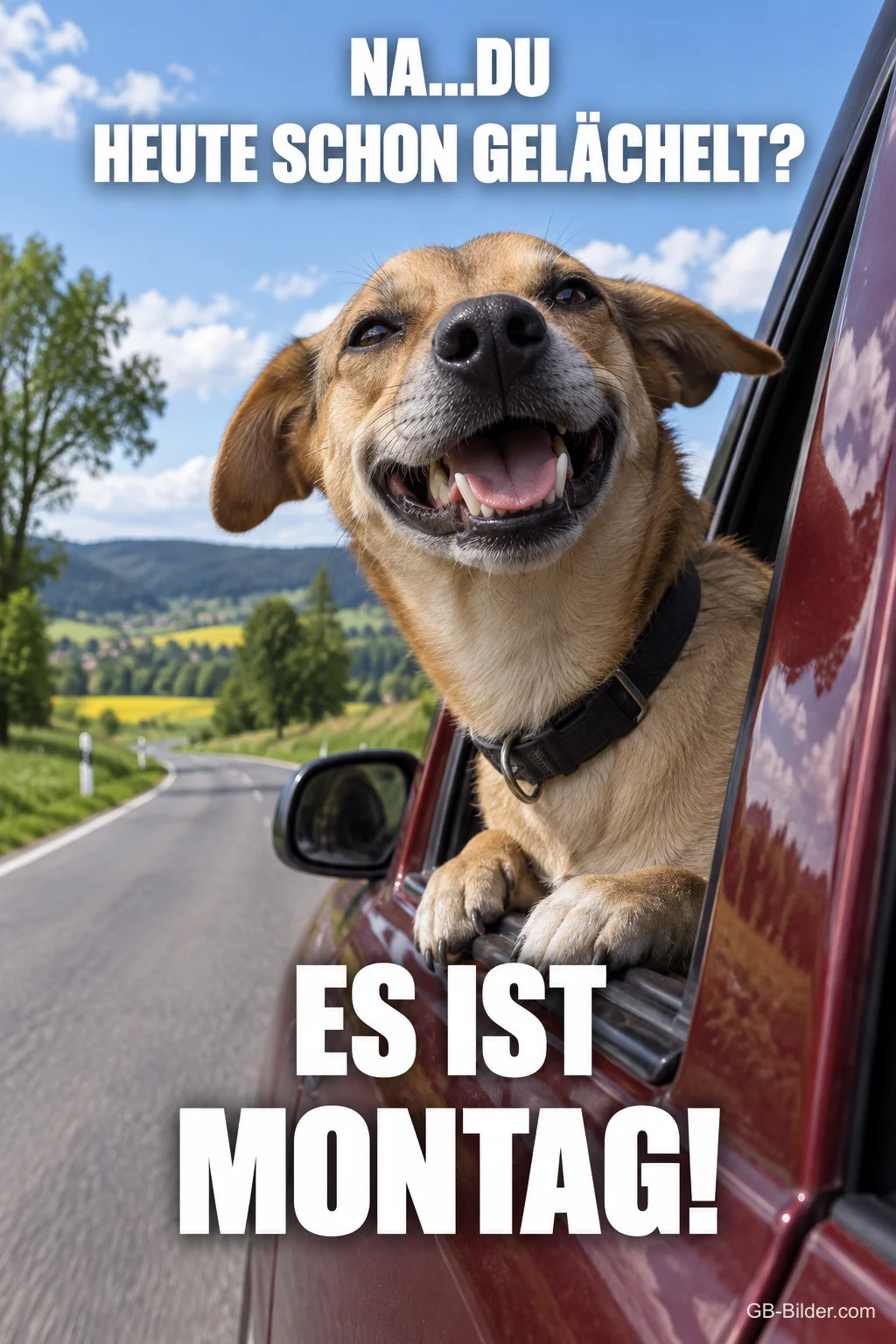 Grinsender Hund im Autofenster, Text: Na du, heute schon gelächelt? Es ist Montag!