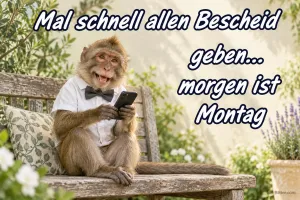 Affe mit Fliege und Handy, Text: Mal schnell allen Bescheid geben, morgen ist Montag