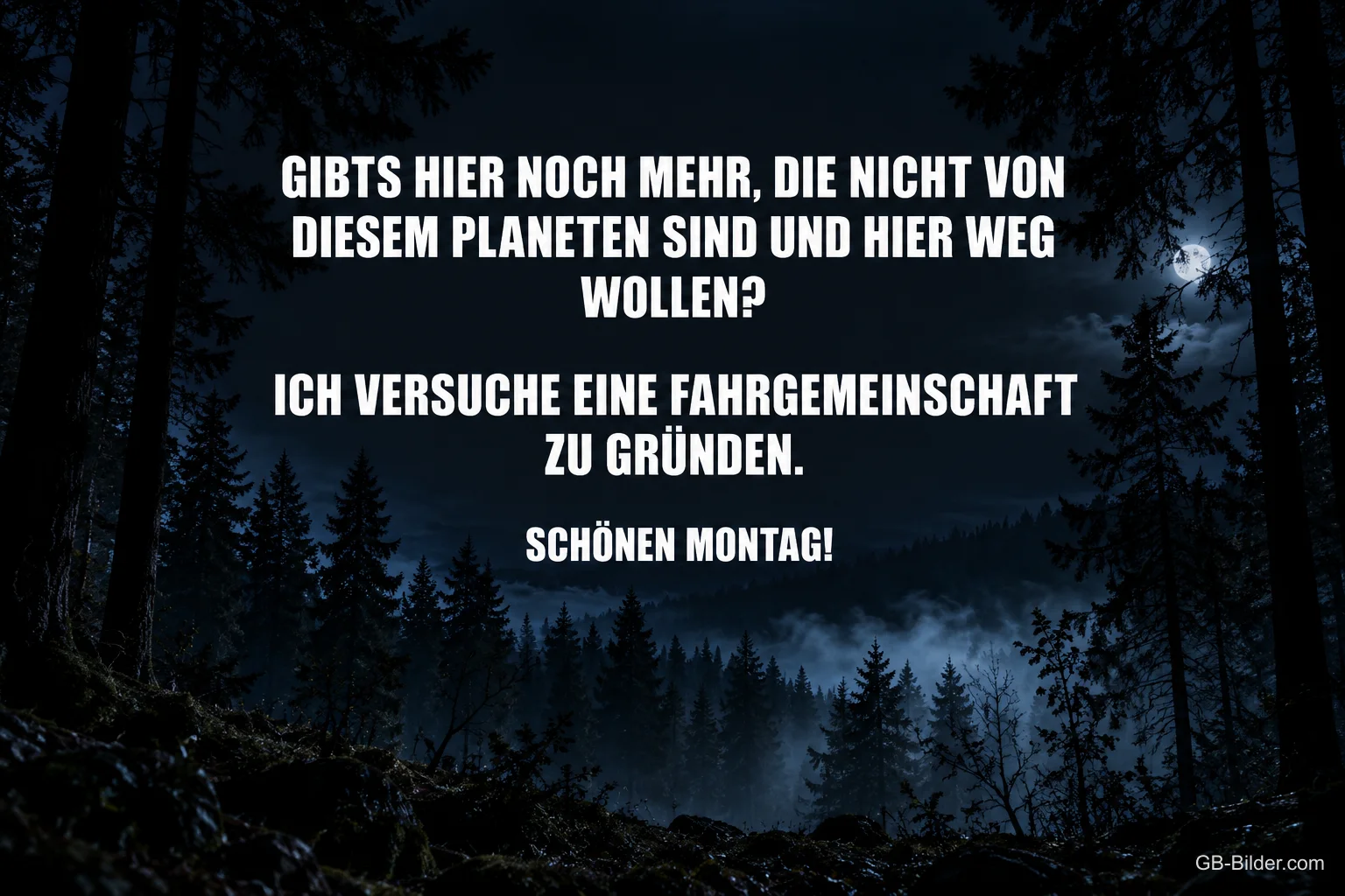 Dunkler Wald bei Nacht, lustiger Spruch über eine Fahrgemeinschaft, Schönen Montag!