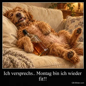 Zotteliger Hund liegt verschlafen mit einer Flasche auf dem Sofa, Text: Ich versprechs.. Montag bin ich wieder fit!!