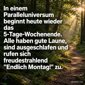 Waldweg, lustiger Montagsspruch, Text: In einem Paralleluniversum beginnt heute wieder das 5-Tage-Wochenende