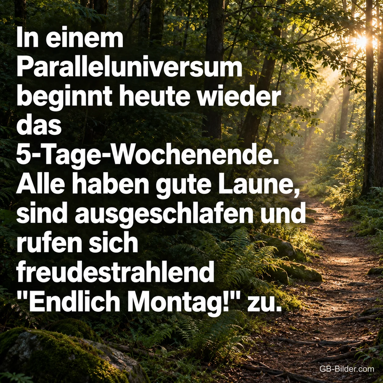Waldweg, lustiger Montagsspruch, Text: In einem Paralleluniversum beginnt heute wieder das 5-Tage-Wochenende