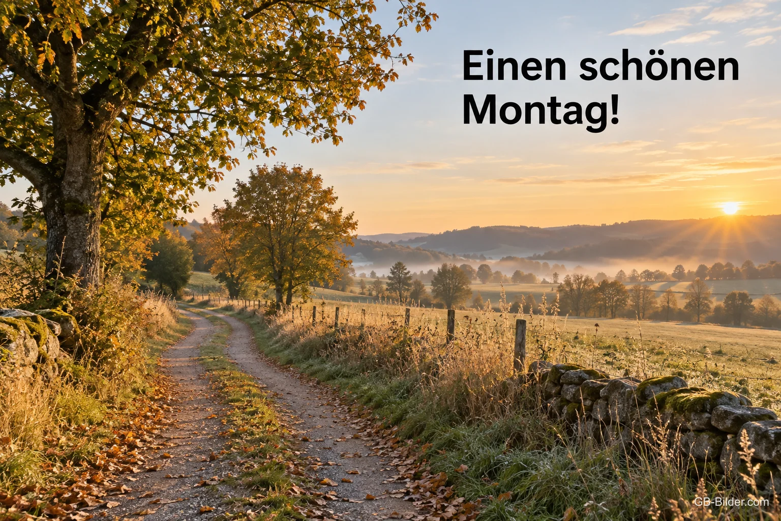 Herbstlicher Feldweg im Sonnenaufgang, Text: Einen schönen Montag!