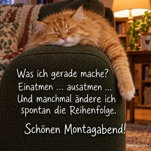 Rote Katze schläft auf der Sofalehne, Text: Was ich gerade mache? – Einatmen … ausatmen … Und manchmal ändere ich spontan die Reihenfolge. Schönen Montagabend!