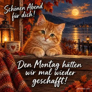 Rotes Kätzchen auf einer Fensterbank am See, Text: Schönen Abend für dich! – Den Montag hätten wir mal wieder geschafft!