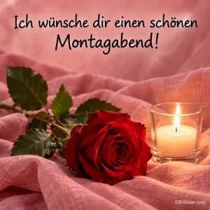 Rote Rose und Windlicht auf rosa Stoff, Text: Ich wünsche dir einen schönen Montagabend!