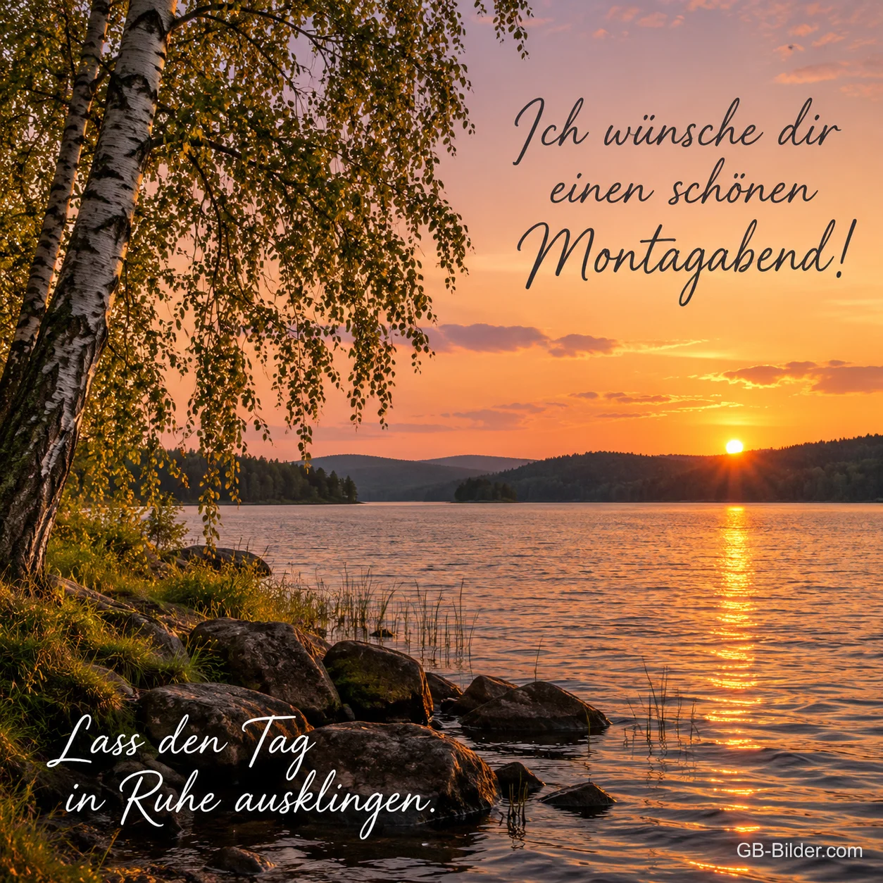 Birke am Seeufer im Sonnenuntergang, Text: Ich wünsche dir einen schönen Montagabend! – Lass den Tag in Ruhe ausklingen.